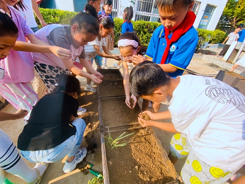 1694212017152729.jpg ed21dbdf18d7320677aeee3dd30038b.jpg