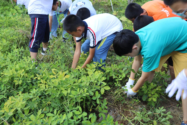 1694400462719740.png 图片1.png