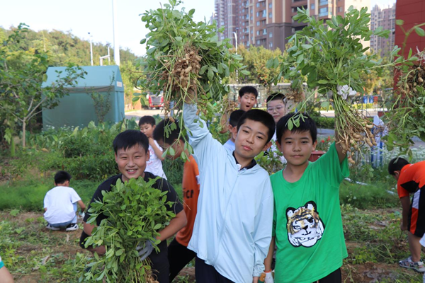 1694400475797379.png 图片2.png