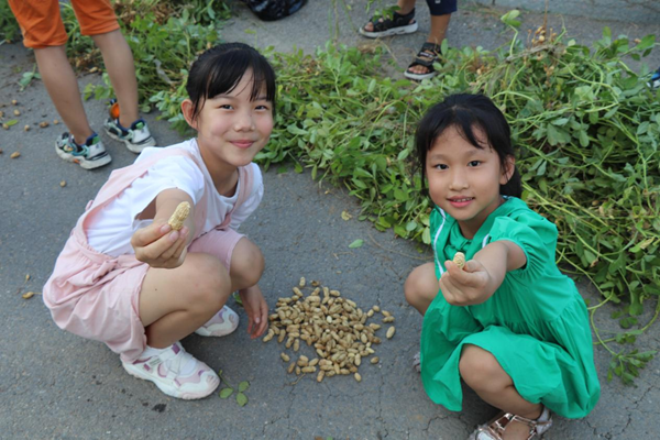 1694400503451575.png 图片3.png