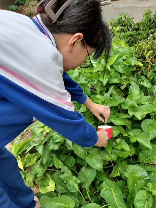 1694423425591593.jpg 微信图片_20230911084842.jpg