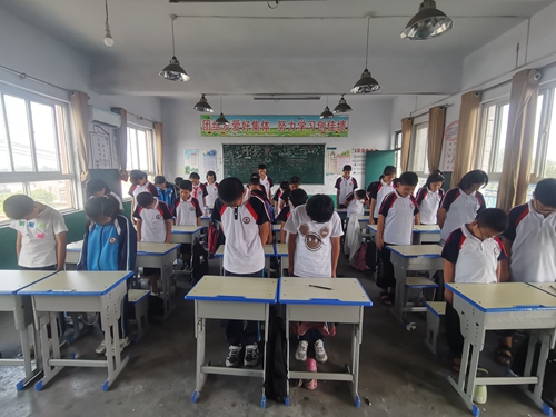 1695085219983866.jpg 871ff7c989450e1fc375d46f696981b.jpg