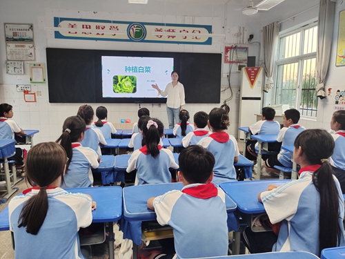 1695356477570019.jpg 1.jpg