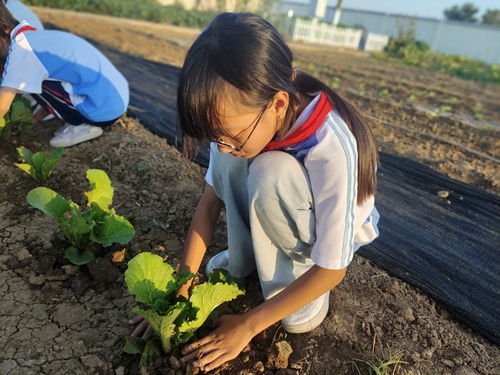 1695356531178932.jpg 微信图片_20230914210425.jpg