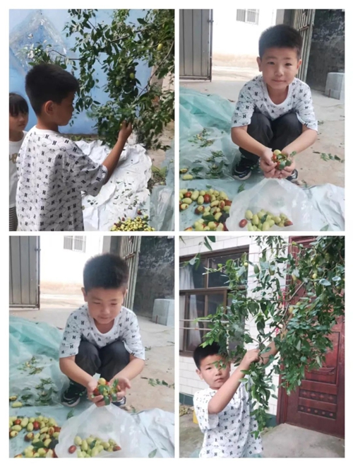 1695375403301705.jpg 图片4.jpg