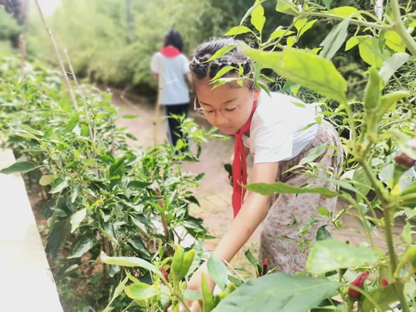 1695712294237168.png 图片2.png