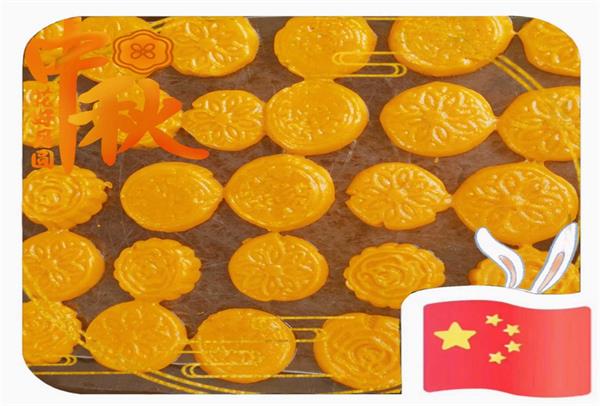 1695984517815013.jpg 图片7.jpg