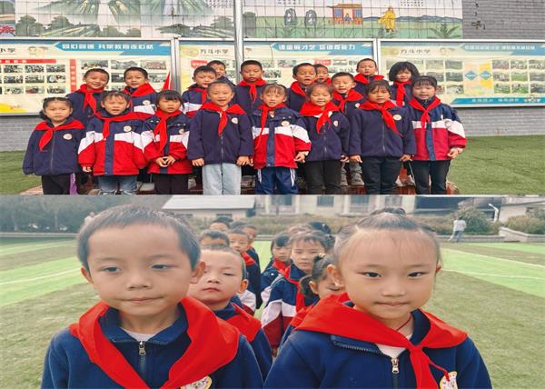 1697177784140006.jpg 图片3.jpg