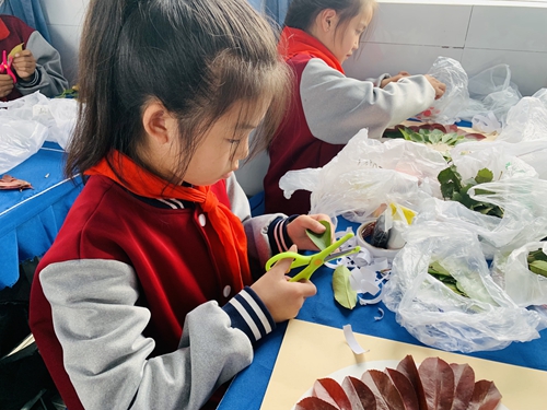 1697243674758073.jpg 1 (3).jpg