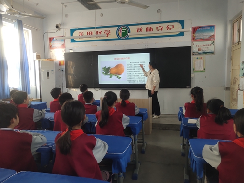 1697251547868711.jpg 1.jpg