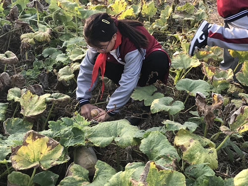 1697251568200418.jpg 4.jpg