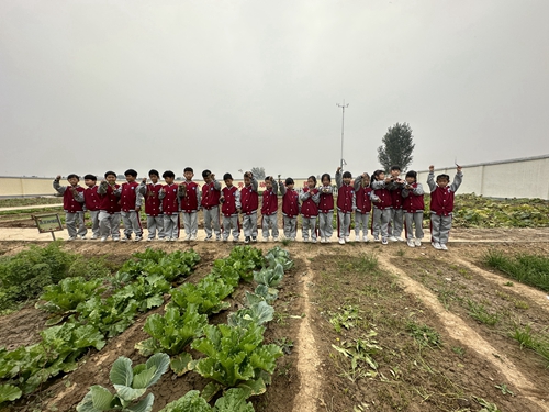 1697251996299265.jpg 图19.jpg