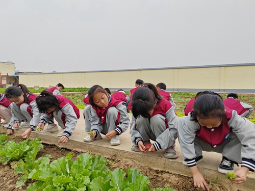 1697252033655581.jpg 图16.jpg