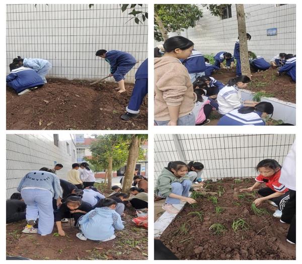 1697459106893317.jpg 图片15.jpg