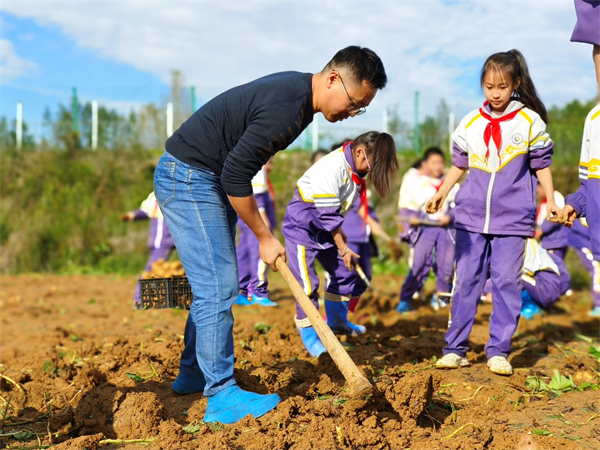 1697968791763287.png 图片1.png