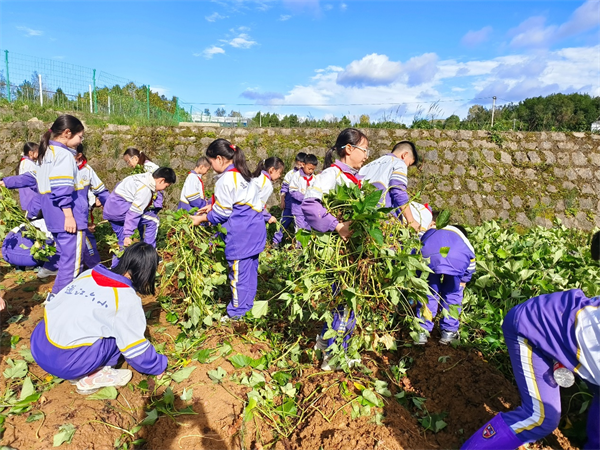 1697968808659633.png 图片3.png