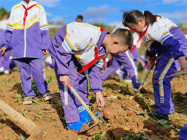 1697968825563015.png 图片4.png