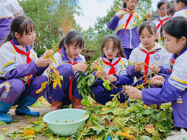 1697968935950958.png 图片9.png