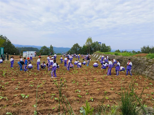 1697968980678216.png 图片13.png