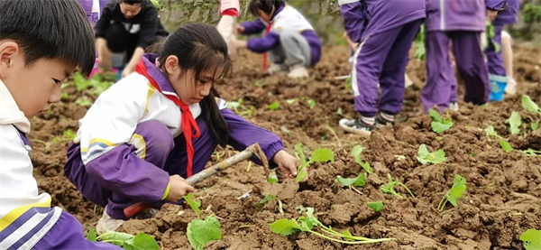 1697968993806120.png 图片14.png