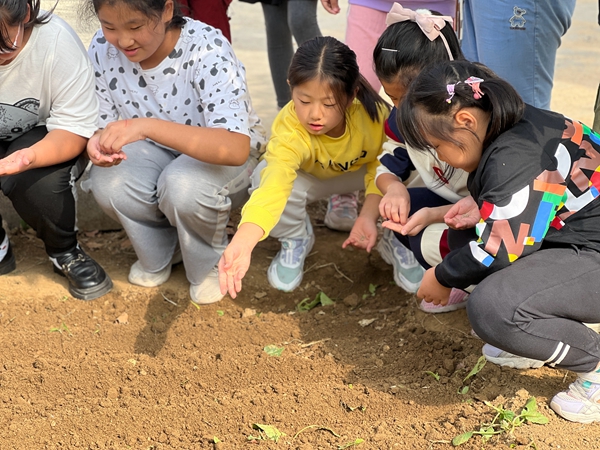 1698302946981099.jpg 照片2.jpg