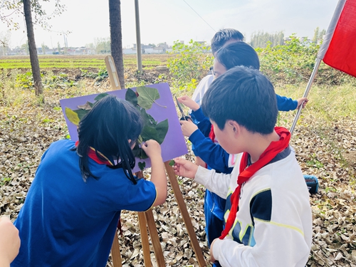 1698306616296337.jpg 4.jpg