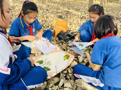 1698306659191584.jpg 14.jpg