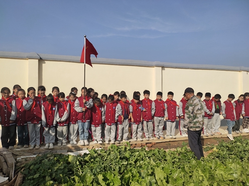 1698541511264809.jpg 6.jpg