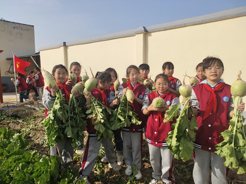 1698541552537412.jpg 15.jpg