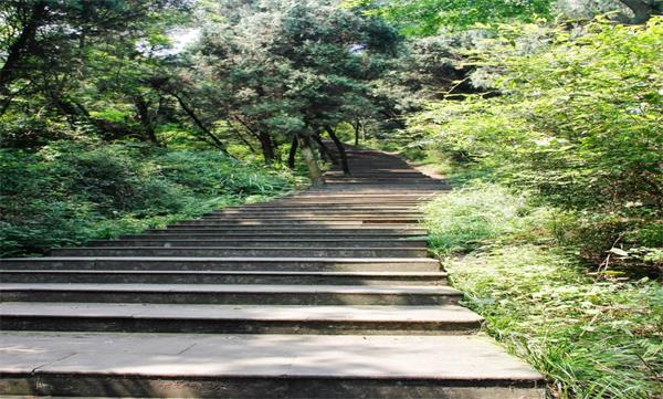 1699264207740442.jpg 图片4.jpg