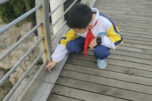 1699754258691994.png QQ图片20231112095653.png