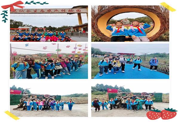 1699935497774334.jpg 图片1.jpg