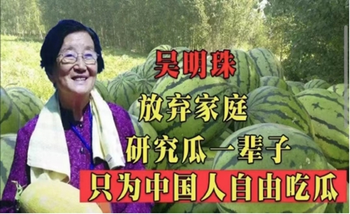 1700106455950189.jpg 3.jpg