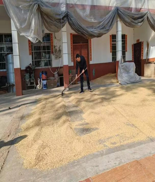 1700811595678964.png 图片2.png