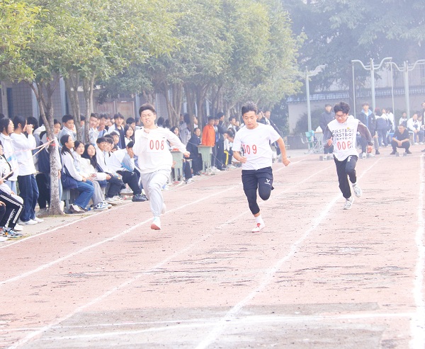 1700812251636593.jpg 田径运动.jpg