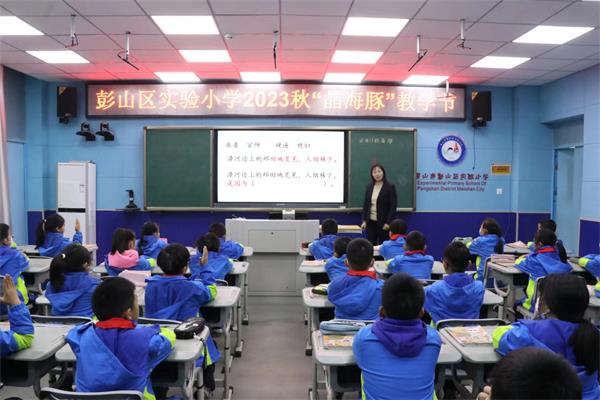 1701084666212677.jpg 3.jpg