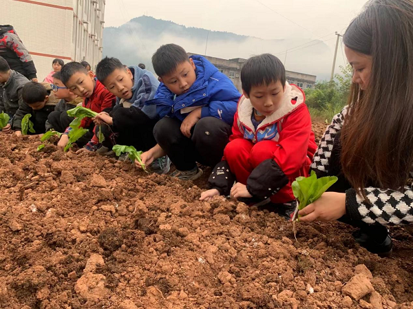 1701340893417404.png 图片7.png