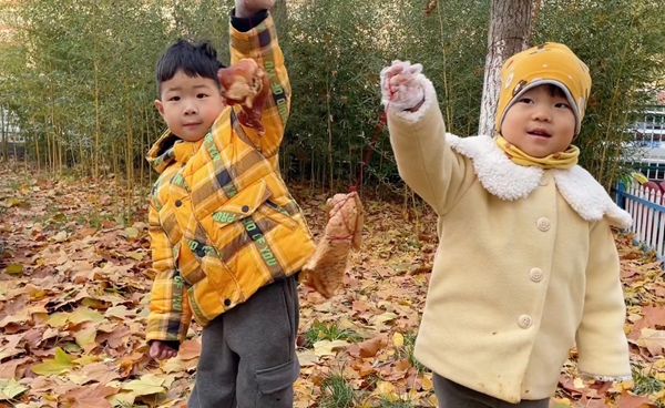 1702015885502260.jpg 5b0369c17d90af7acdb50b2aef83588.jpg