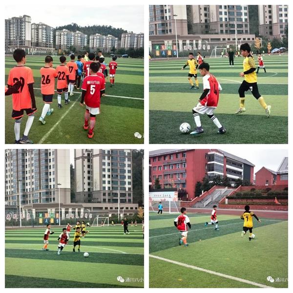 1702119877222522.jpg 3333333.jpg