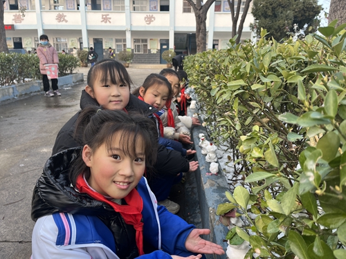 1702705852135026.jpg 6.jpg