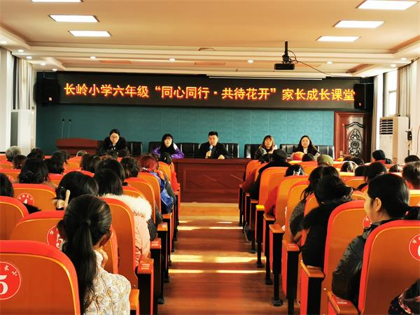 1703239882148516.jpg mmexport1703227567908_proc.jpg