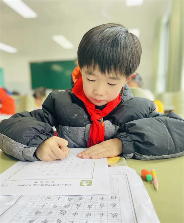 1703641816915540.jpg 低段书写生字1.jpg