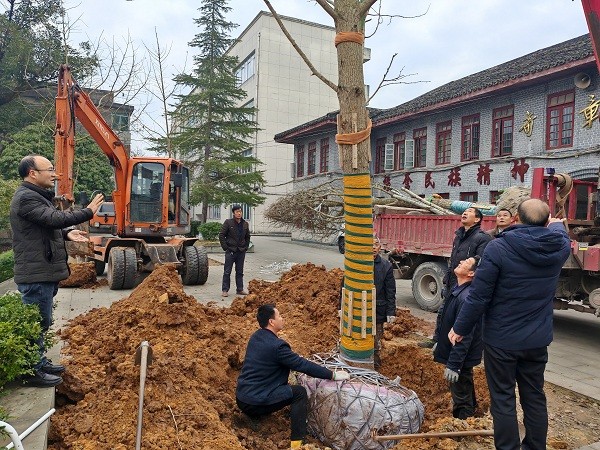 1703829336726917.jpg 6f84596195737f5cc58fd9ad088e72d.jpg