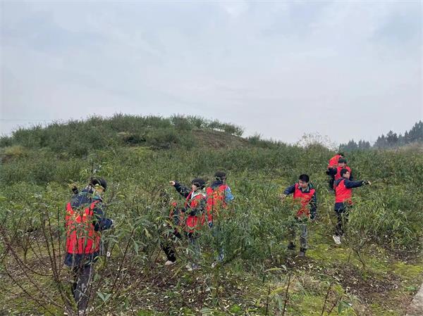 1705143379933106.jpg b532e3e1c3433cde507b17c087e8efe_proc.jpg