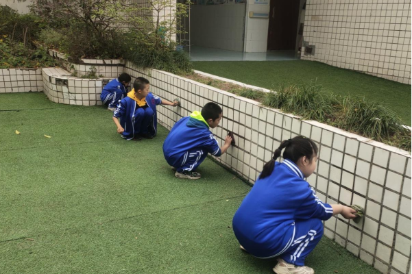 1709524099363847.png QQ图片20240304114725.png