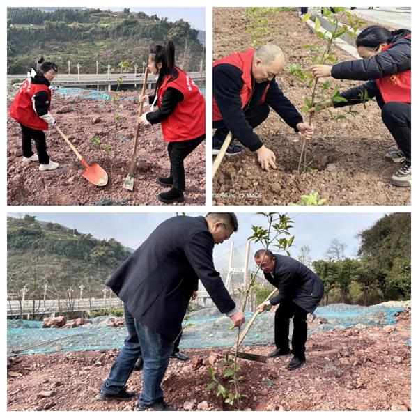 1710233266368535.jpg 22222.jpg