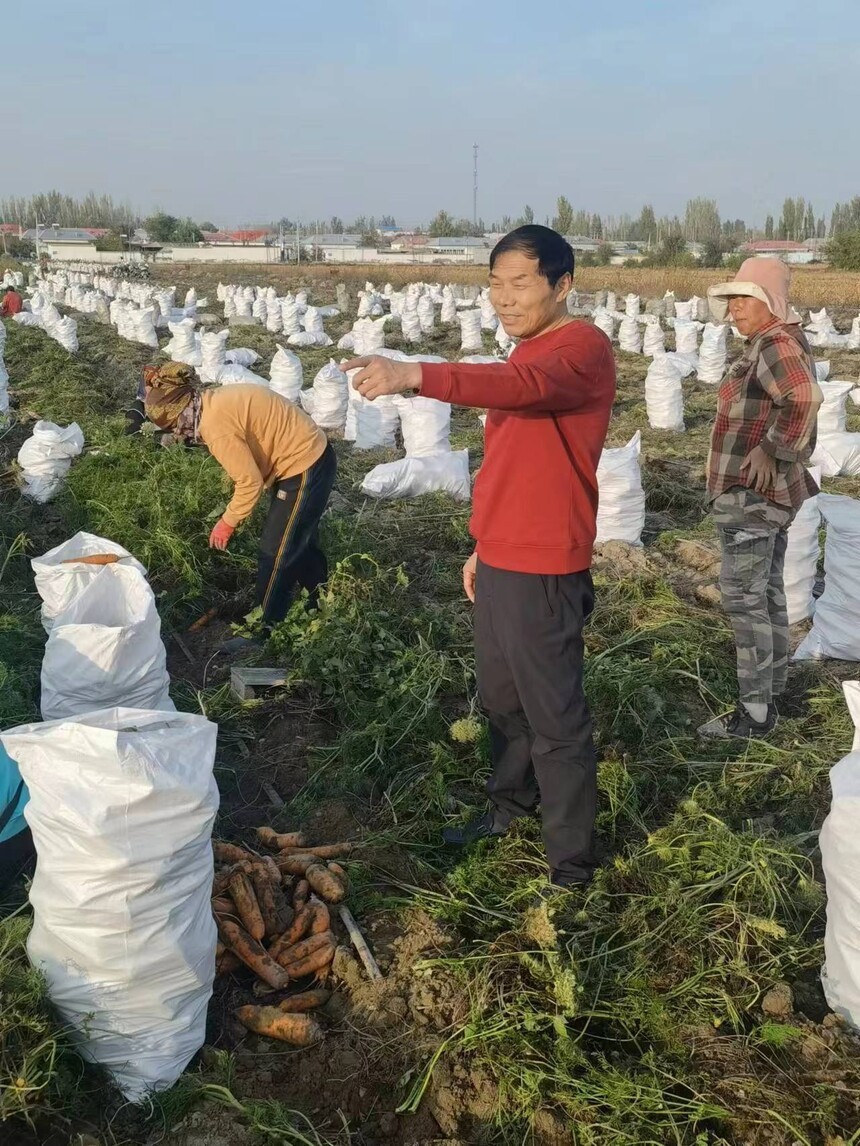 1710783262250612.jpg 1699425330971040.jpg