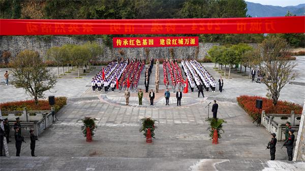 DSC03416_proc.jpg
