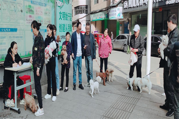 1712922096129373.png 图片11.png