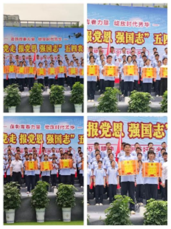 Picture (3).png